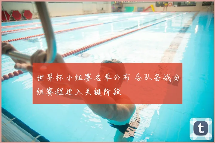 世界杯小组赛名单公布 各队备战分组赛程进入关键阶段