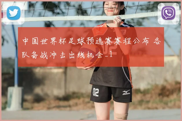 中国世界杯足球预选赛赛程公布 各队备战冲击出线机会_1