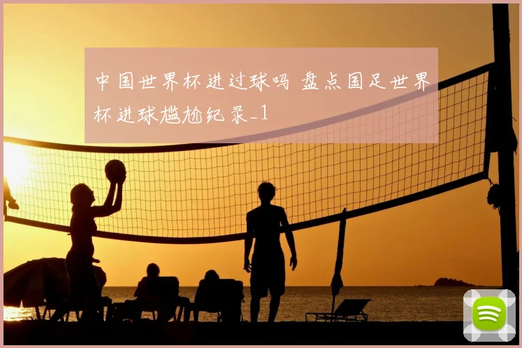 中国世界杯进过球吗 盘点国足世界杯进球尴尬纪录_1