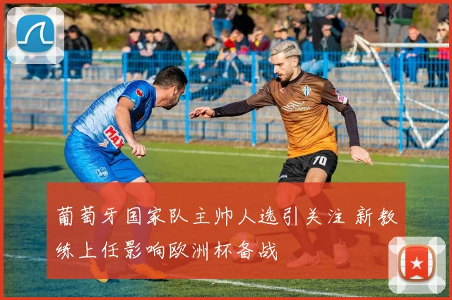 葡萄牙国家队主帅人选引关注 新教练上任影响欧洲杯备战