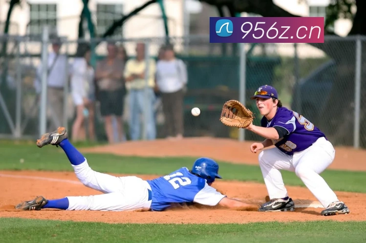 开云手机登录官网APP 封面图